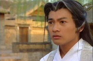 少年张三丰演员表介绍,群星荟萃，演绎武侠传奇