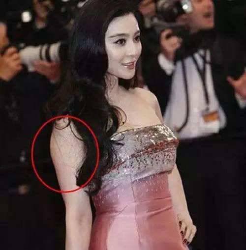 那个明星的胸最大,揭秘胸围最大的明星